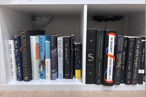 Displayed is the forgotten corner of my bookshelf. This column dives into the books that fit into this corner, outlining the don'ts a novel should follow to avoid being cliché or missing the relatability mark. 